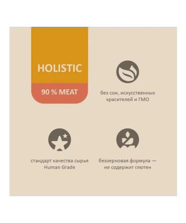 SAVITA Feed for cats and kittens of bezern salmon 100 g 12 pcs - Buy Online on GoSupps.com