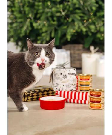 SAVITA Feed for cats and kittens of bezern salmon 100 g 12 pcs - Buy Online on GoSupps.com