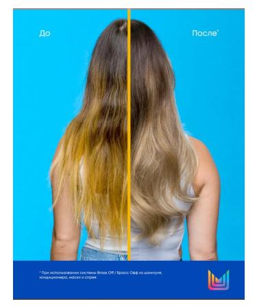 MATRIX Shampoo to neutralize yellowness Brass Off - Buy Online on GoSupps.com