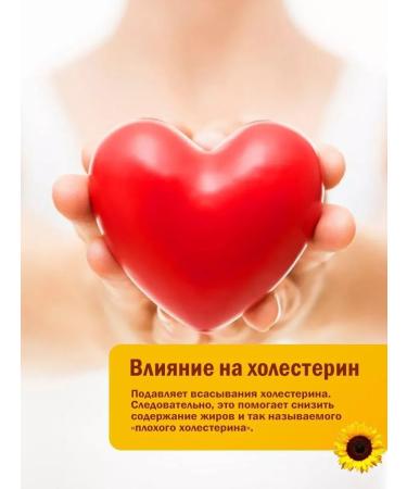 Fitrule Nutrition 2 banks Fitrula Lecithin Sunflower 1000 mg 60 pcs lecithin - Buy Online on GoSupps.com