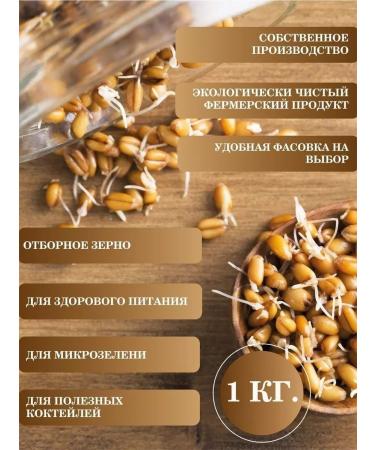 The One Rose Wheat grain with ears of 1 kg