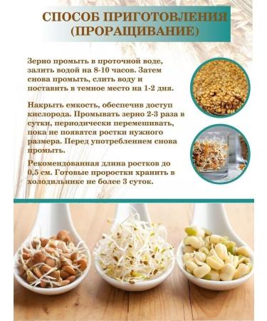 The One Rose Wheat grain with ears of 1 kg - Buy Online on GoSupps.com