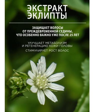 POGONIA Shampoo strengthening for dry and damaged hair 500 ml - Buy Online on GoSupps.com