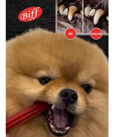 Titbit Chewing snacks for dogs toothpick - Buy Online on GoSupps.com