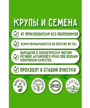 AltaiKrupaRF Sunflower core Altai purified Altai seeds 5 kg - Buy Online on GoSupps.com