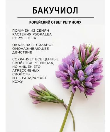 POGONIA Face cream from wrinkles with bakuchiol 50 ml - Buy Online on GoSupps.com