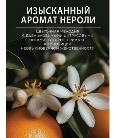 POGONIA Face cream from wrinkles with bakuchiol 50 ml - Buy Online on GoSupps.com