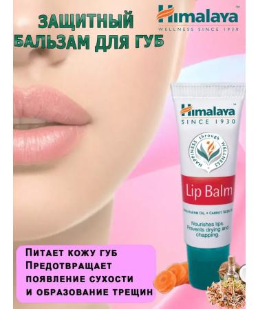 BEAUTECRETS Lip balm natural Himalaya Herbals Lip Balm 10 g - Buy Online on GoSupps.com