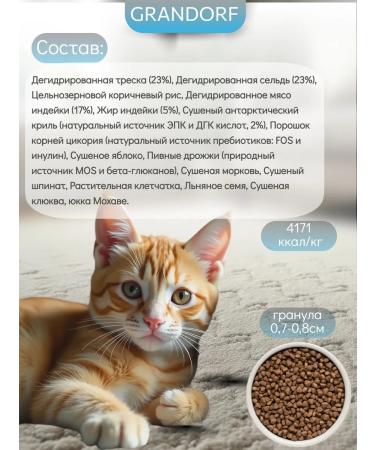 Grandorf Cat food white fish turkey - Buy Online on GoSupps.com