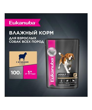Eukanuba Spider for dogs with lamb in sauce - 100 g x 24 pcs - Buy Online on GoSupps.com