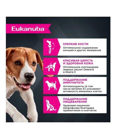 Eukanuba Spider for dogs with lamb in sauce - 100 g x 24 pcs - Buy Online on GoSupps.com