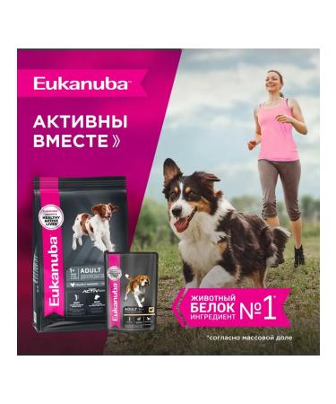 Eukanuba Spider for dogs with lamb in sauce - 100 g x 24 pcs - Buy Online on GoSupps.com