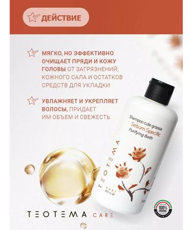 THEOTEMA Shampoo for oily hair and scalp TEO CG 250 ml - Buy Online on GoSupps.com