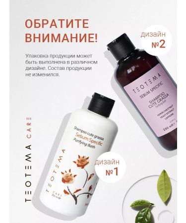 THEOTEMA Shampoo for oily hair and scalp TEO CG 250 ml - Buy Online on GoSupps.com