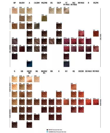 Goldwell Persistent hair cream for hair Topchic 6MB 60 ml - Buy Online on GoSupps.com