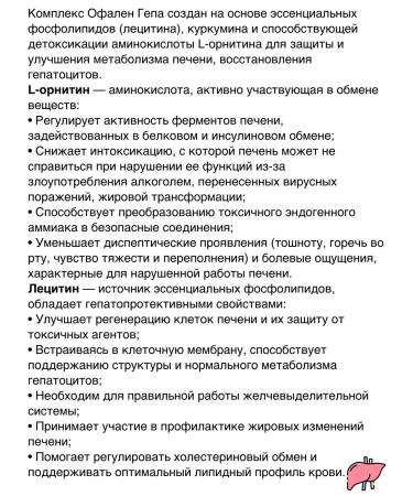 Ofalen Hepa 1Up.*60kaps - Buy Online on GoSupps.com