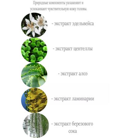 JMELLA Perfumed "sparkling rose" shampoo 500 ml - Buy Online on GoSupps.com