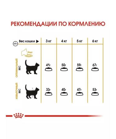 ROYAL CANIN Hair and Skin Care for cats 2 kg Heir & Skin - Buy Online on GoSupps.com