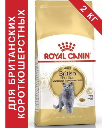 ROYAL CANIN British shorthair adult for cats 2 kg British