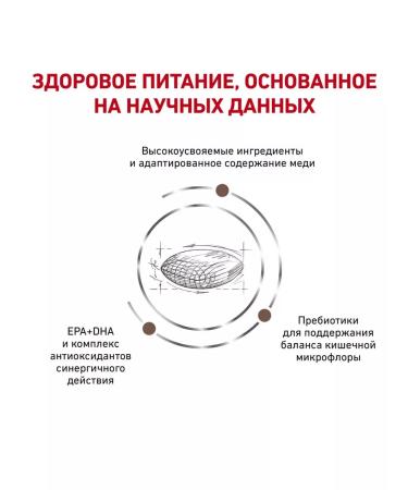 ROYAL CANIN Hepatic for Dog liver diseases 1.5 kg hepatic - Buy Online on GoSupps.com