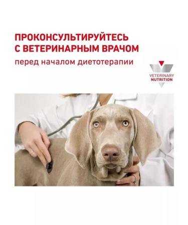 ROYAL CANIN Urinary SO for dogs at an ICB of 2 kg Urinaries with - Buy Online on GoSupps.com