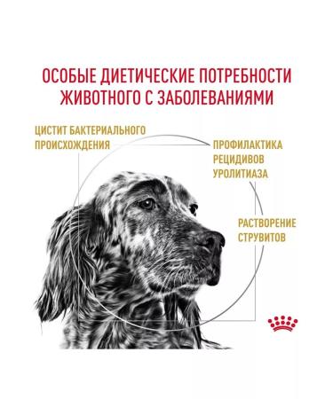 ROYAL CANIN Urinary SO for dogs at an ICB of 2 kg Urinaries with - Buy Online on GoSupps.com