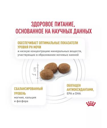 ROYAL CANIN Urinary SO for dogs at an ICB of 2 kg Urinaries with - Buy Online on GoSupps.com