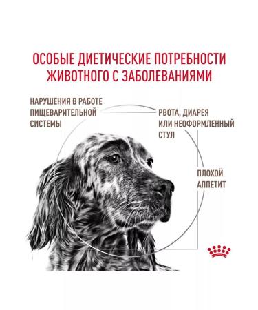 ROYAL CANIN GastroinTestinal for dogs 2kg gastrointestinal - Buy Online on GoSupps.com
