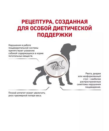 ROYAL CANIN GastroinTestinal for dogs 2kg gastrointestinal - Buy Online on GoSupps.com