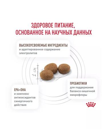 ROYAL CANIN GastroinTestinal for dogs 2kg gastrointestinal - Buy Online on GoSupps.com