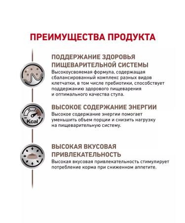 ROYAL CANIN Gastrointestinal for cats 2 kg gastroins - Buy Online on GoSupps.com