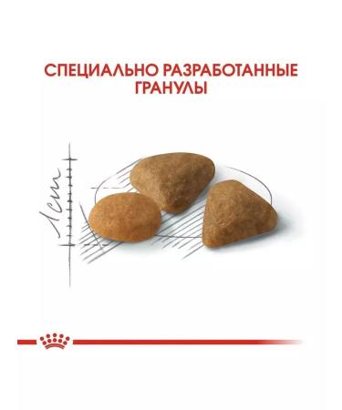 ROYAL CANIN Savour Exigent for fastidious cats 2 kg - Buy Online on GoSupps.com