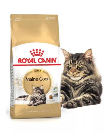 ROYAL CANIN Main Coon Adult for Cat 2 kg Main Kun - Buy Online on GoSupps.com