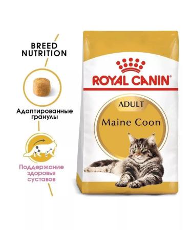 ROYAL CANIN Main Coon Adult for Cat 2 kg Main Kun - Buy Online on GoSupps.com