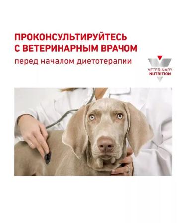 ROYAL CANIN Satiety Weight Management for dogs 1.5 kg Satetici - Buy Online on GoSupps.com