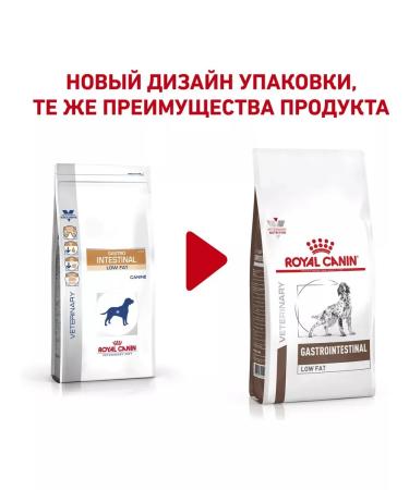 ROYAL CANIN GastroinTestinal Low FAT for dogs 1.5 kg Low Fat - Buy Online on GoSupps.com