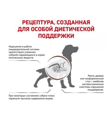 ROYAL CANIN GastroinTestinal Low FAT for dogs 1.5 kg Low Fat - Buy Online on GoSupps.com