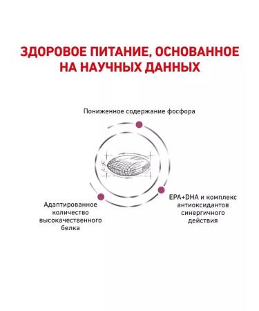 ROYAL CANIN Renal with renal failure for dogs 2 kg Renal - Buy Online on GoSupps.com