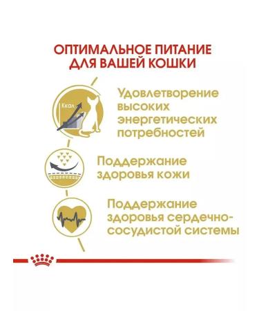 ROYAL CANIN SPhynx Adult for cats 2 kg Sphinx - Buy Online on GoSupps.com