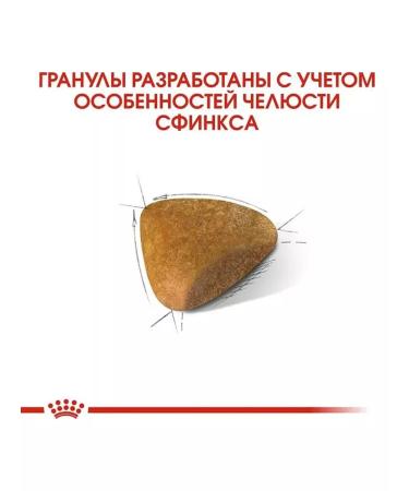 ROYAL CANIN SPhynx Adult for cats 2 kg Sphinx - Buy Online on GoSupps.com