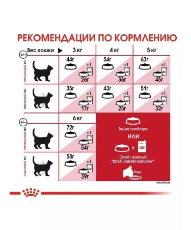 ROYAL CANIN Regular Fit for active cats 400 g regular fit - Buy Online on GoSupps.com