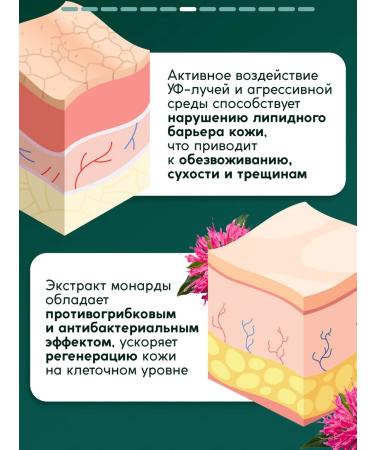 Semily Cream wax from cracks for very dry skin - Buy Online on GoSupps.com