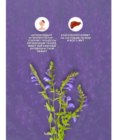 bee and man The helmet of the Baikal root - Buy Online on GoSupps.com