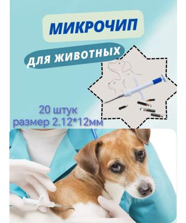 ICAR Microchips 2.12x12mm for pets in a syringe 20 pcs