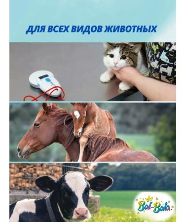 ICAR Microchips 2.12x12mm for pets in a syringe 20 pcs - Buy Online on GoSupps.com