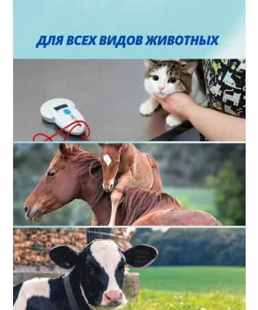 ICAR Microchips 2.12x12mm for pets in a syringe 20 pcs - Buy Online on GoSupps.com