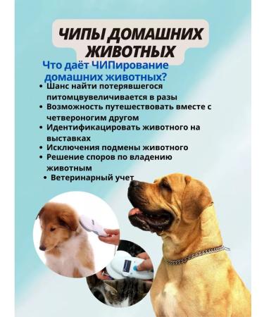 ICAR Microchips 2.12x12mm for pets in a syringe 20 pcs - Buy Online on GoSupps.com