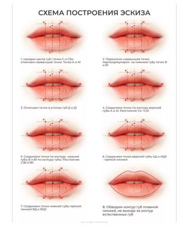 Beauty Poster Poster poster lips for a tattoo master beauty salon - Buy Online on GoSupps.com