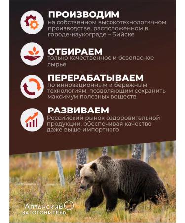 Altai procurement officer Bear bile capsule extract 120 caps - Buy Online on GoSupps.com