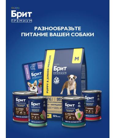 Brit Dog food dry medium rocks 8 kg - Buy Online on GoSupps.com